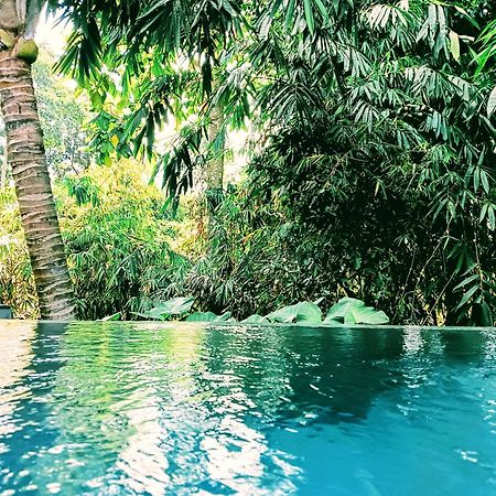 Ngesil Private Joglo & Pool Hotel Ubud  Exterior photo