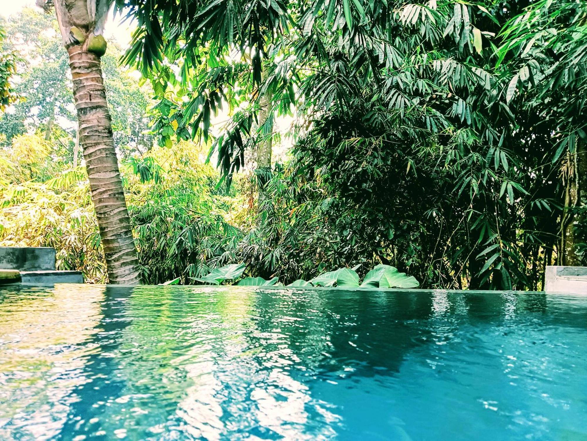 Ngesil Private Joglo & Pool Hotel Ubud  Exterior photo
